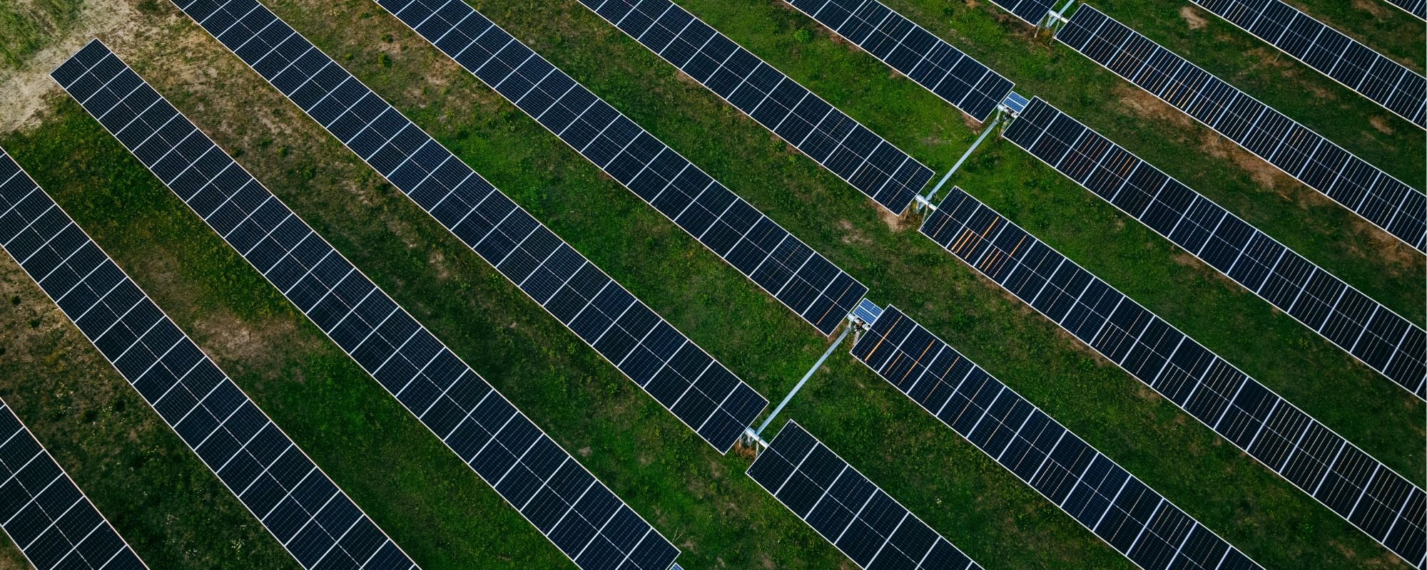 Solar panels in rows