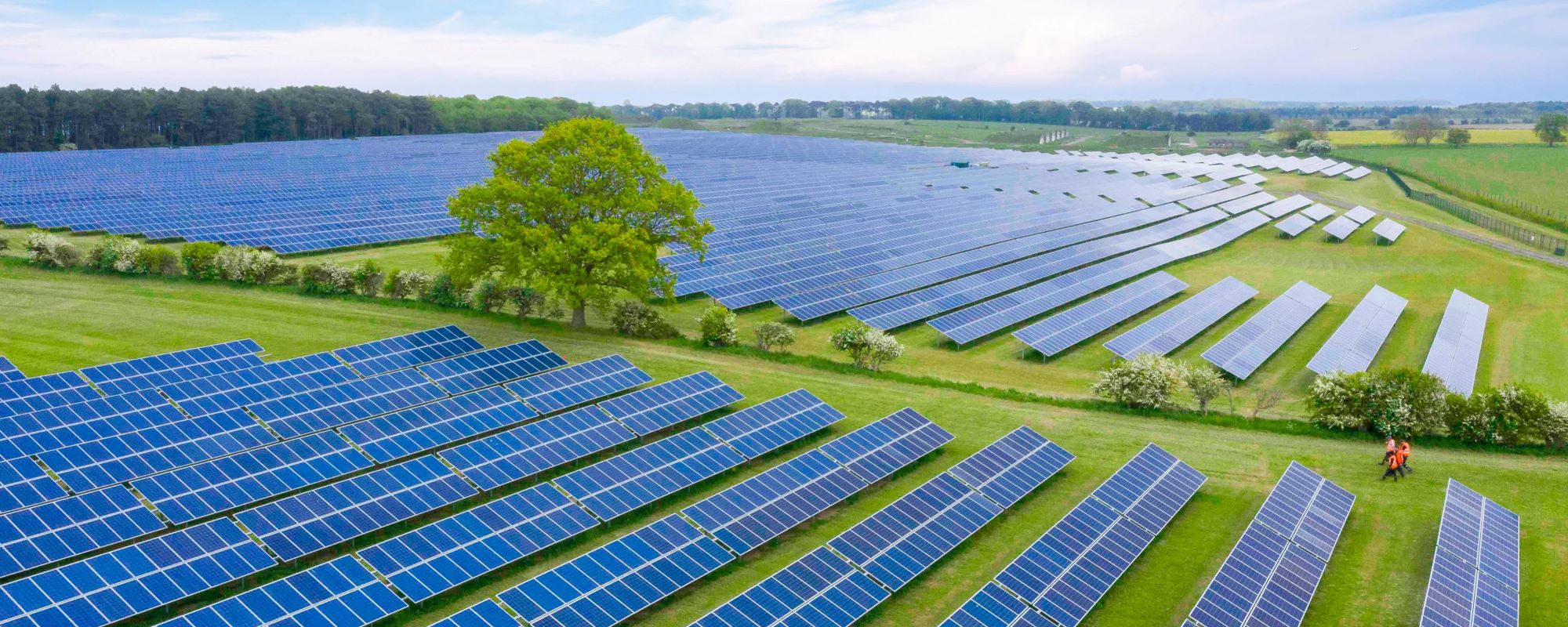 Solar farm