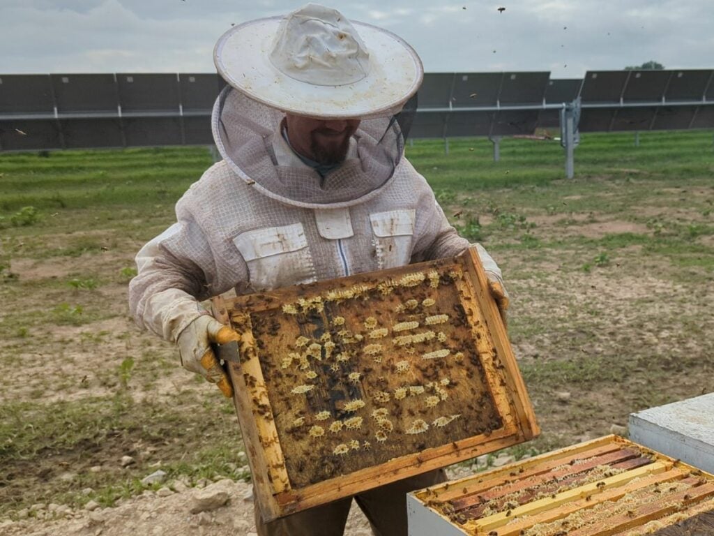 beekeeper