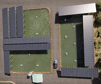 A digital render of floating solar. An aerial view of two rectangular ponds covered partially by solar panels, with solar panels forming roof-like structures over the water.