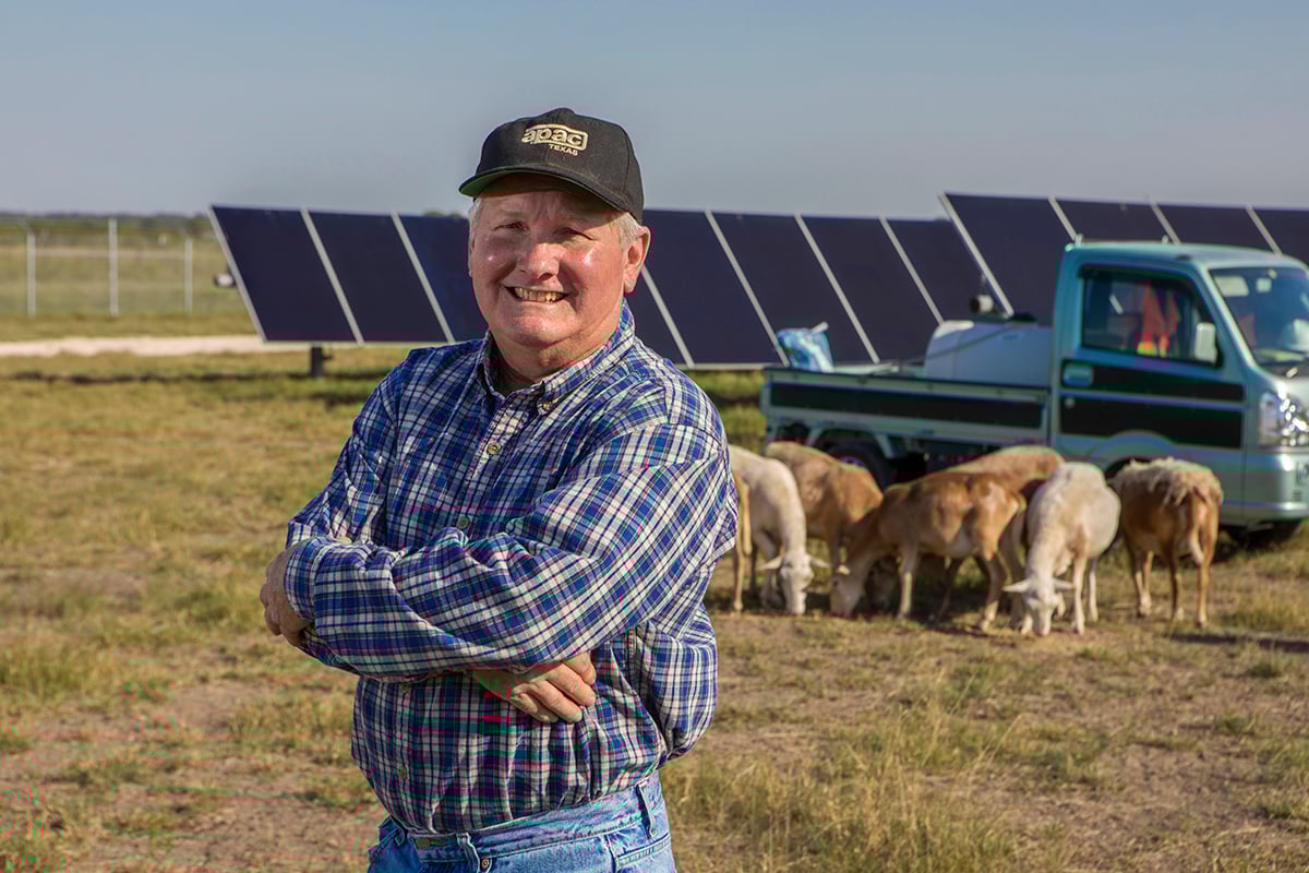 A male farmer stood with his arms crossed smiling at the camera, sheep grazing amongst solar panels in the background