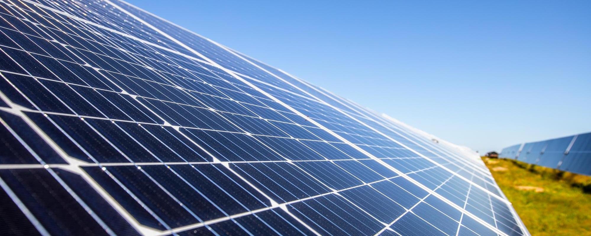 Close-up view of large blue solar panels angled towards the clear sky, installed on grassy land, capturing sunlight for renewable energy.