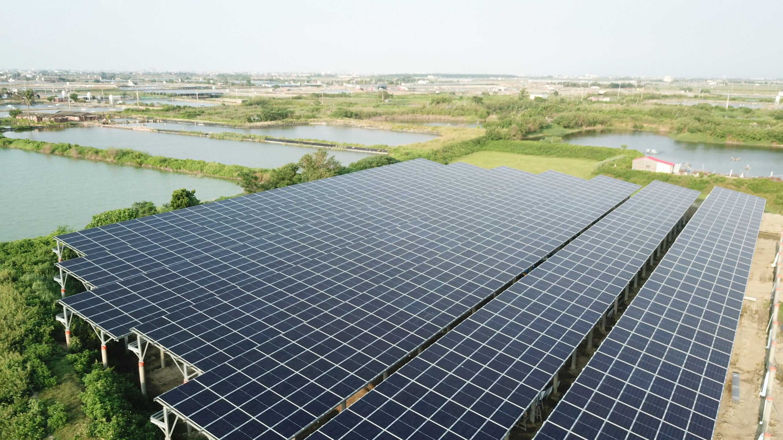 大面積漁電共生太陽能板，展現綠色能源與環境共生的理念。