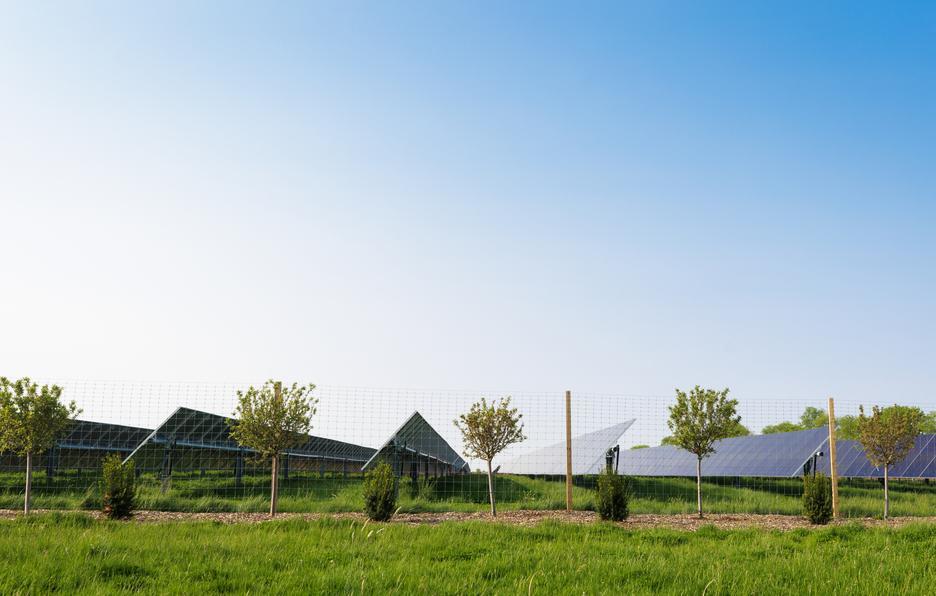 太陽能板安裝在草地上的山景，幾棵小樹點綴其間，藍天清晰可見。