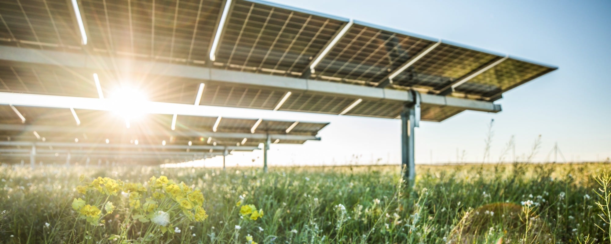 Lightsource bp European Solar Day 2026