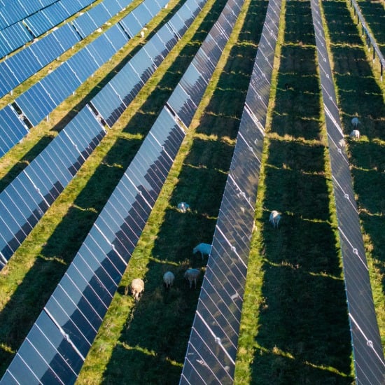 Lightsource bp Energy Solutions