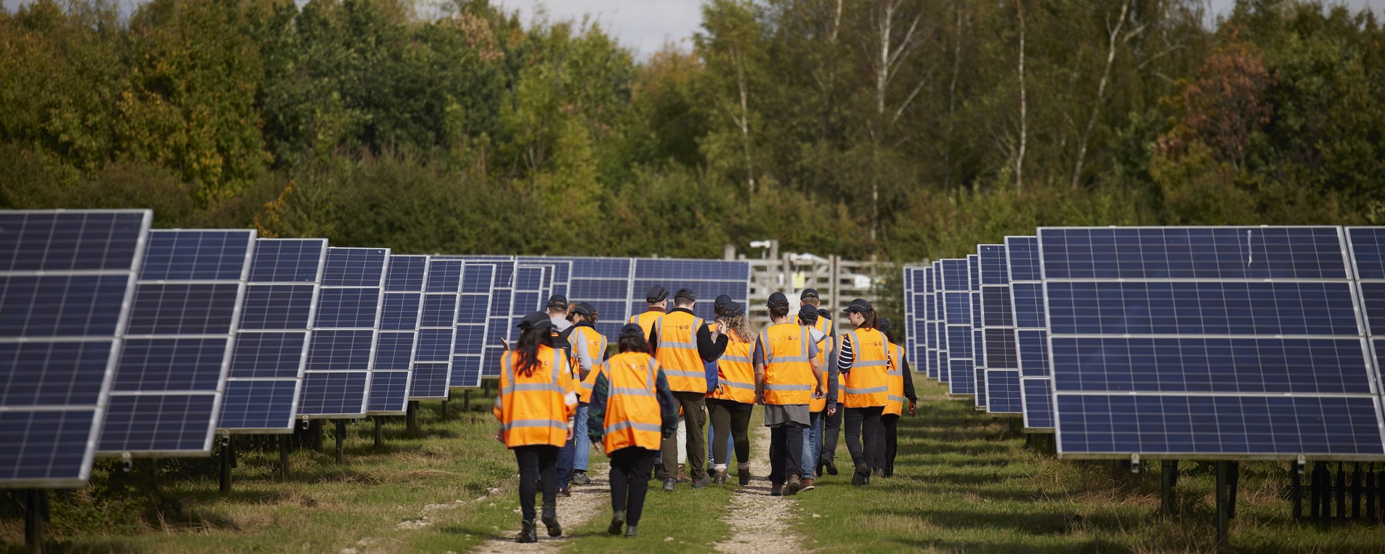 A group of people in orange high-visibility vests walking along a grass path between rows of solar panels at a solar farm, with trees in the background.
